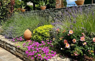 Villa Leopoldo by Istrian Country Houses - Photo 4