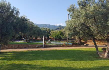 Agriturismo Le Carolee - Foto 9