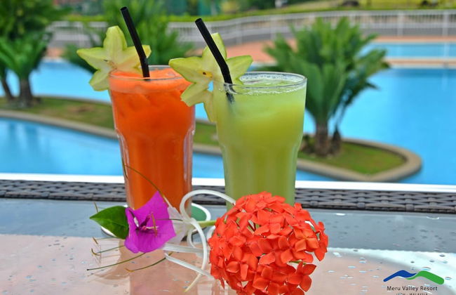 Meru Suites at Meru Valley Resort - Foto 47