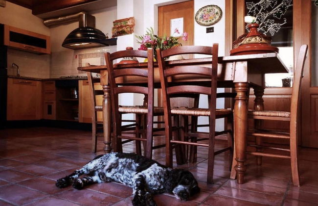 Hawthorn apt With Shared Pool Family fun - Foto 10