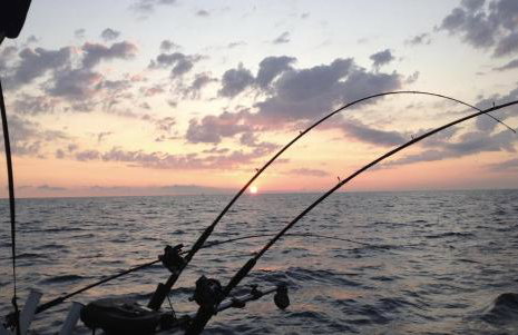 Cute Cottage Overlooking Sodus Bay- Direct Water Access - Foto 21