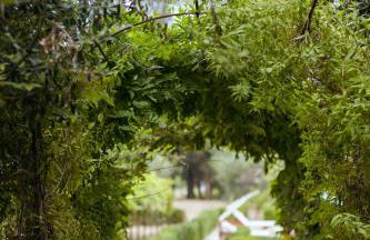 Boutique Wine Resort - Villa Dianella - Foto 68