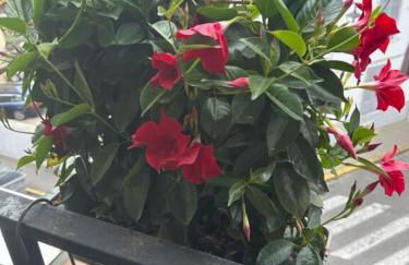 Cocon douillet résidence calme - Foto 15