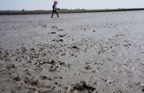 On the North Sea 4 - Foto 31