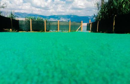 Mila's pet friendly holiday house with private beach place and sunbeds included - Photo 43