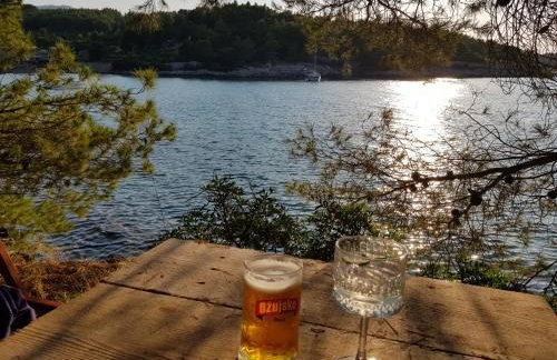 Hvar Architect's House - Photo 73