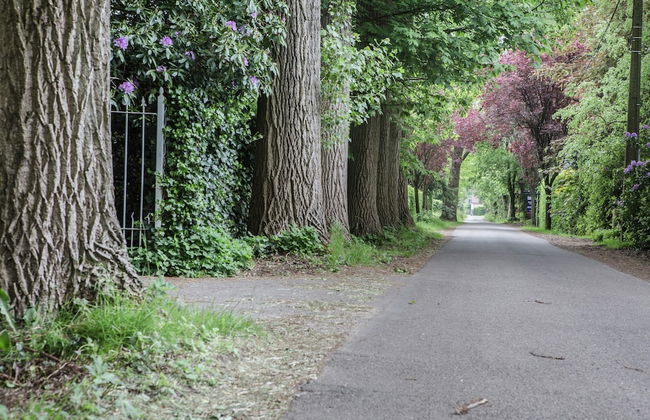 Westmalle Forest Garden Home - Foto 43