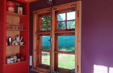 Benno der Wagen - kreativ gestaltetes Tiny House AM WALDRAND Nahezu Alleinlage Rennsteig Grünes Band NATUR PUR Hund willkommen - Foto 22