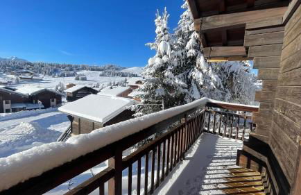 APPARTEMENT PLEIN SUD AUX SAISIES N°6 - Foto 5