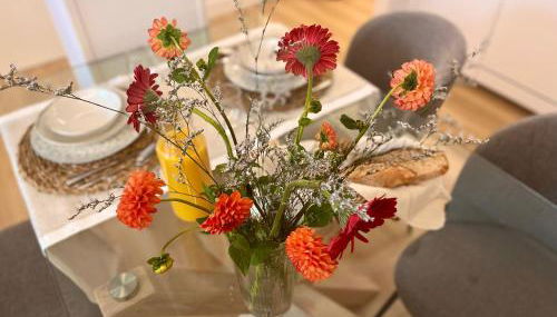 APARTAMENTO MENTURA Centro de San Sebastian Parking FREE - Foto 5