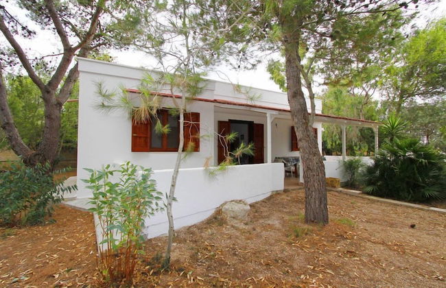 Tenuta la Saracina - Foto 66