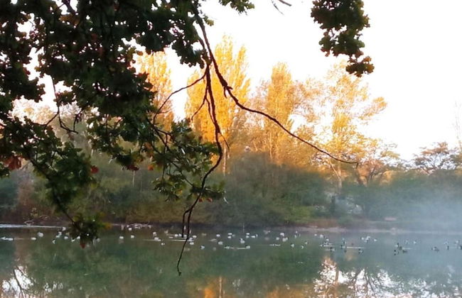 Charming Holiday Home in Gargas With Swimming Pool - Photo 34