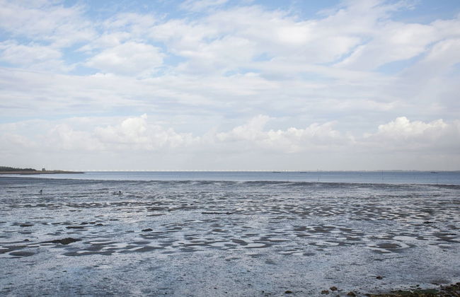 Lovely Holiday Home in Kattendijke Near Centre - Foto 53