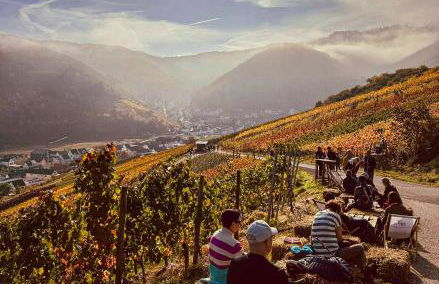 Knabbüüß - Foto 29