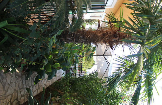 Villa Nefeli - Foto 12