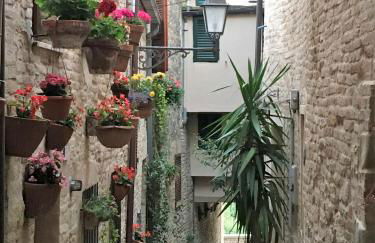 La casetta a Torre di Palme - Foto 10