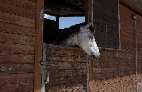 Il Giardino del sole - Foto 90