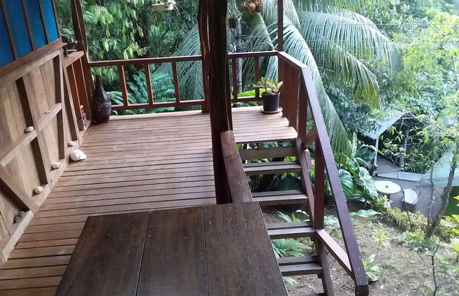 Drake Lapas - Foto 35