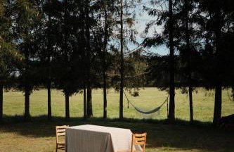 Sztuka Lasu - Foto 11