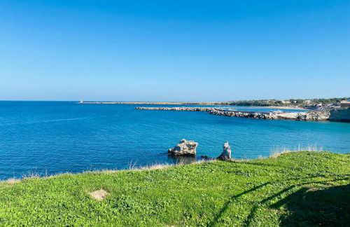 Chalaroste home - Foto 8