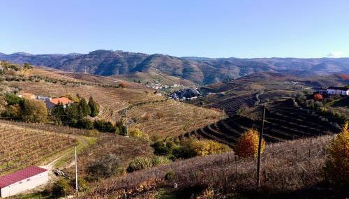 Quinta Da Batoca - Photo 3