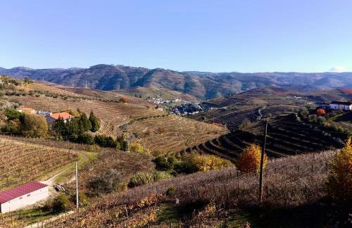 Quinta Da Batoca - Photo 3