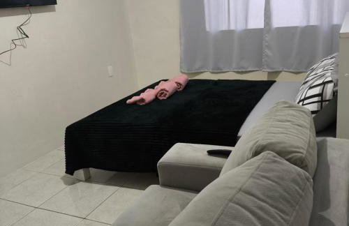 Lavandas de Maio - Photo 5