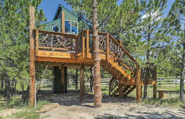 Tree Eagles Nest - Foto 28