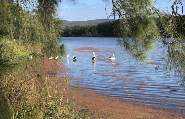 Kurrajong Village Delight - Photo 15