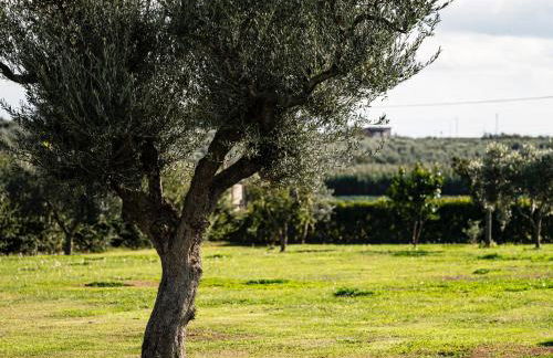 LA MASSARÌA agriresort - Foto 27