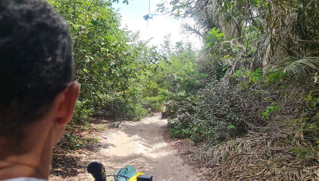 Traversez des zones boisées avec les quads