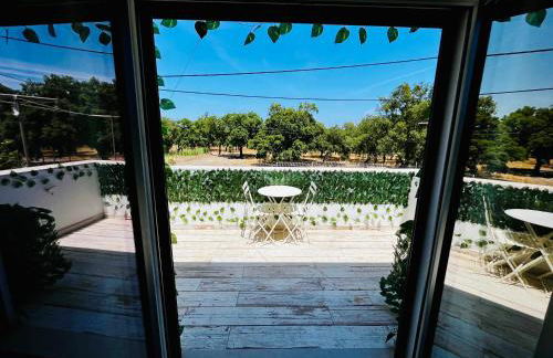 Refugio do Gato - Foto 25