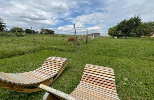 Bauernhof Glamping mit Alpakas und Ziegen - Foto 3