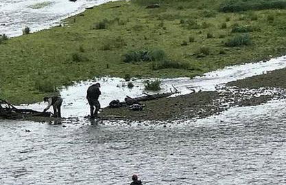 Charming A-Frame Cabin Rental on Prince of Wales Island in Hollis, Alaska - Foto 11