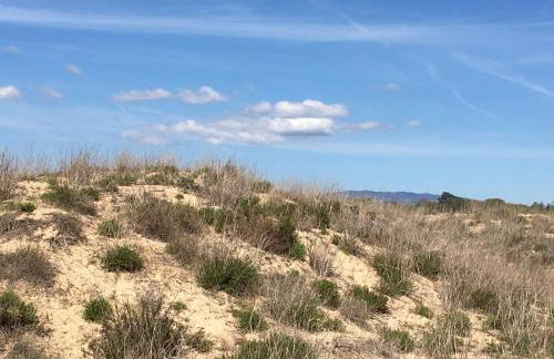 Vila Marachique - Foto 61