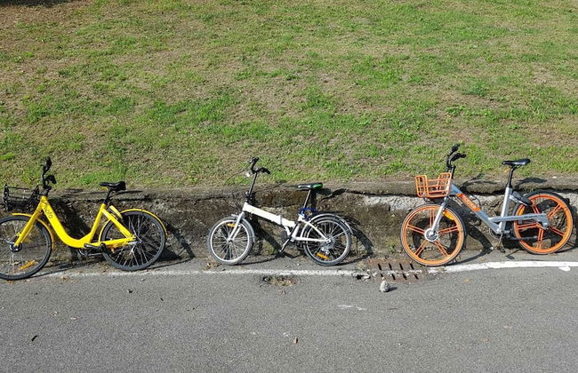 Casa Liberty - Foto 63