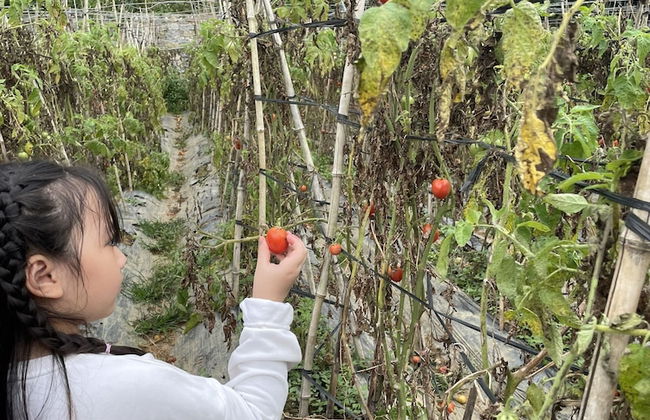 Farmstay Ban Bua - Foto 27