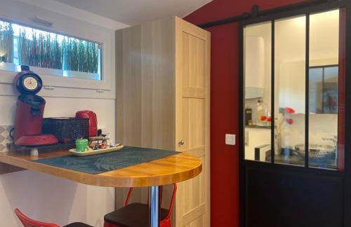 Paris-Zénith-bienvenue-terrasse-Netflix - Foto 8