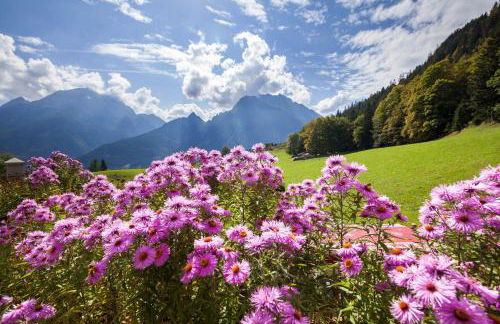 Haus der Berge Ferienwohnung - Foto 7