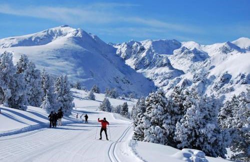 Maison du plateau de beille - Foto 16