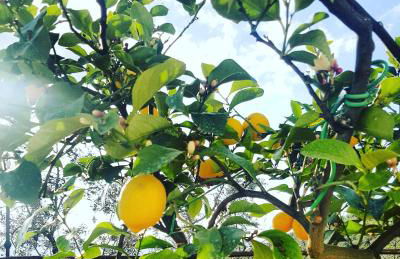 Agriturismo La Casuccia - Foto 25