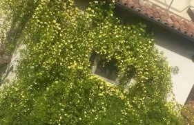 LuNesco alloggio DiVino, Chambre d'amis - Foto 15