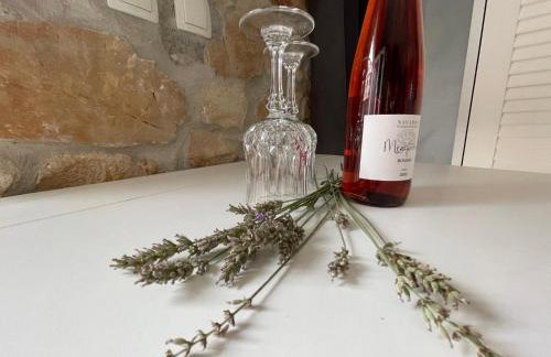 Villa AMore Radini Istrian antique stone house Studio with private parking and terrace - Foto 5