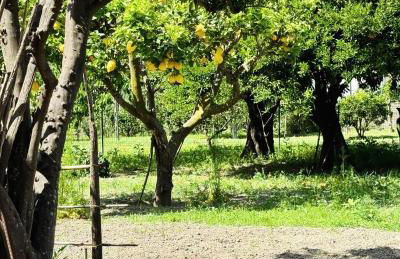 Gloria House - Photo 22