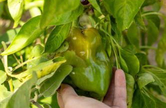 Agriturismo La Collina - Foto 50