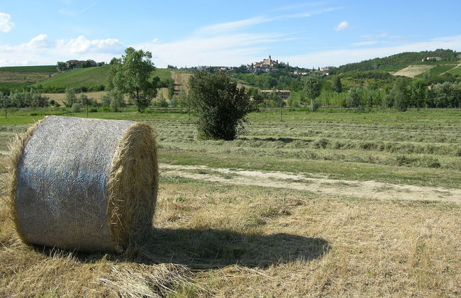 Agriturismo La Mussia - Foto 45