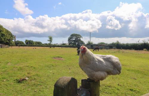 Connie's Cottage - Foto 44