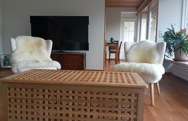 Luxury Apartment With Terrace and Garden Free Parking Smart TV etc - Foto 34