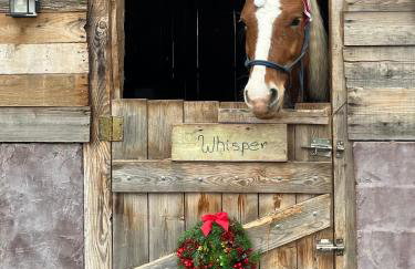 The Farmhouse - Photo 10