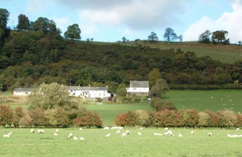 Osprey Cottage - Foto 24